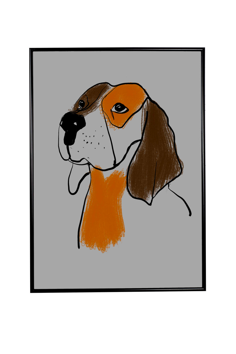 Portrait of a senior Beagle